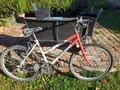 starsi horsky bicyke